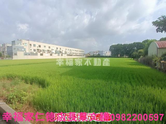 六甲農地-15