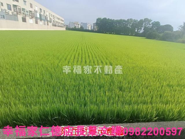六甲農地-6