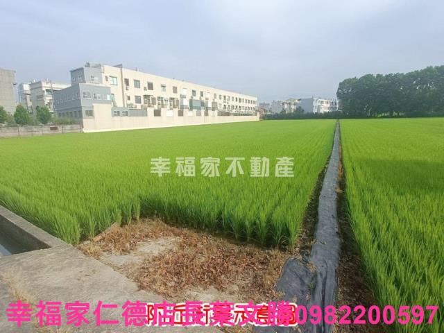 六甲農地-9