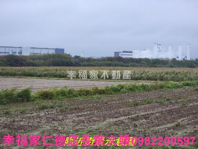 新市農地-11