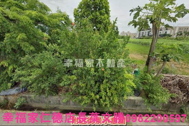善化農地-15
