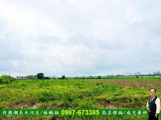台南農地-4