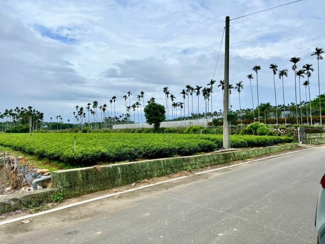 南投名間農地-8