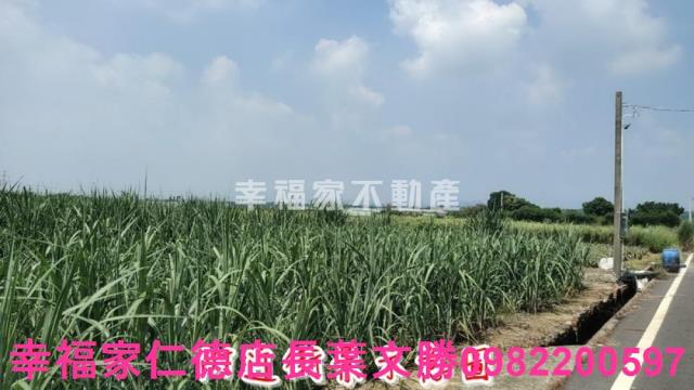 善化農地-10