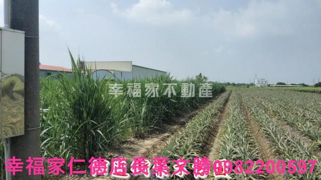 善化農地-11