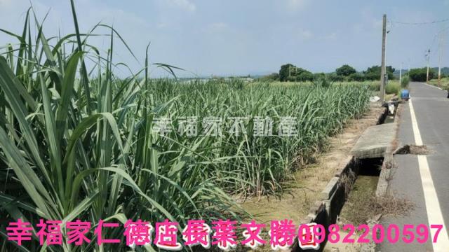 善化農地-3