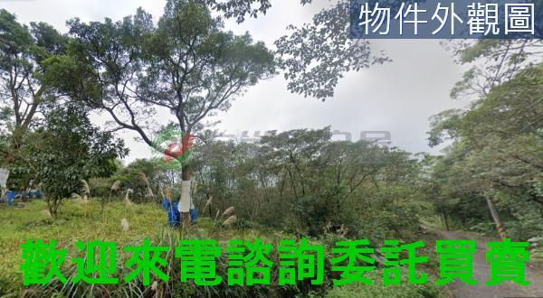 新北農地-5