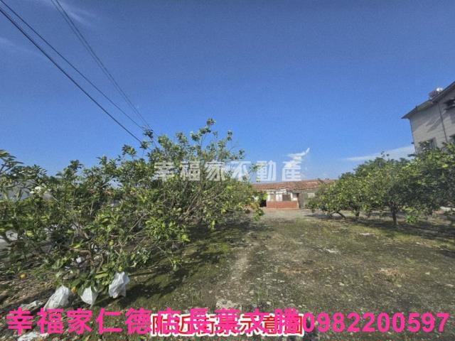 麻豆農地-8