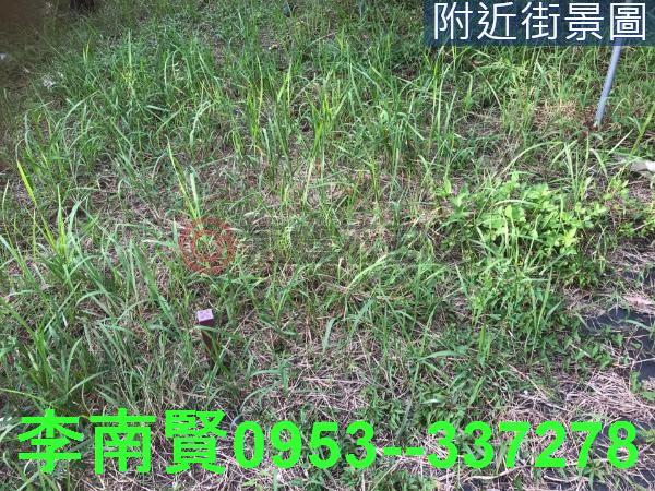 台南農地-4