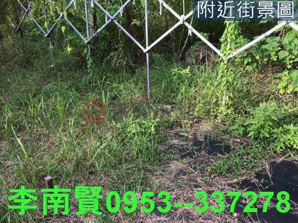 台南農地-5
