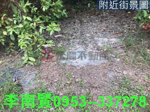 台南農地-6