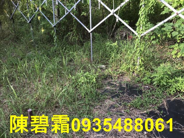 台南農地-2