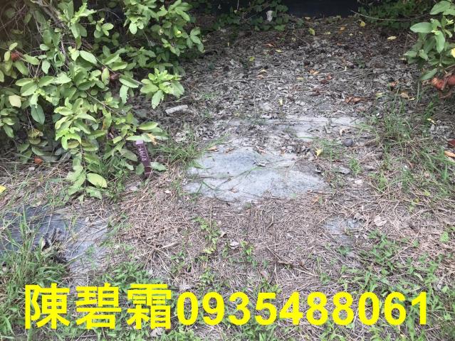 台南農地-4