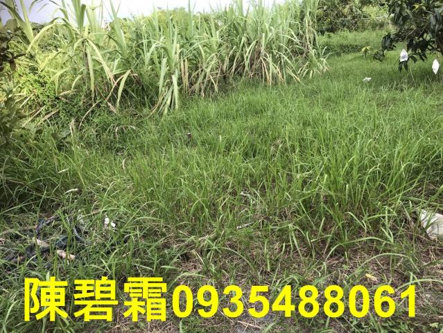 台南農地-5
