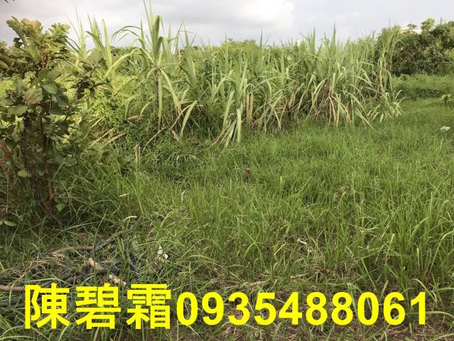 台南農地-9