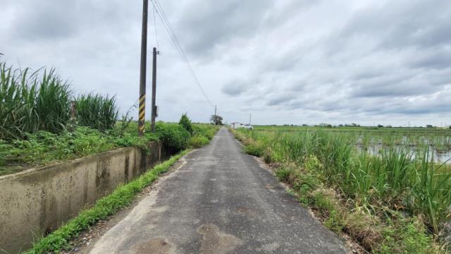 台南善化農地-1
