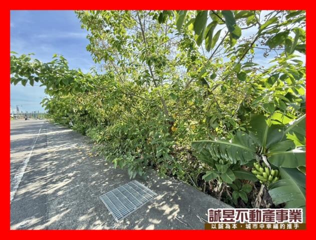 台南新化農地-2