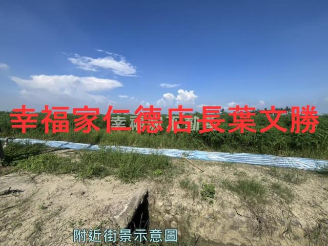 台南善化農地-6