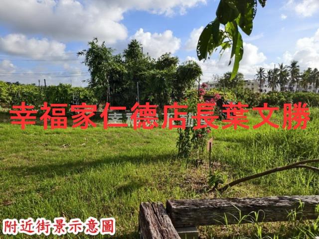 歸仁農地-9