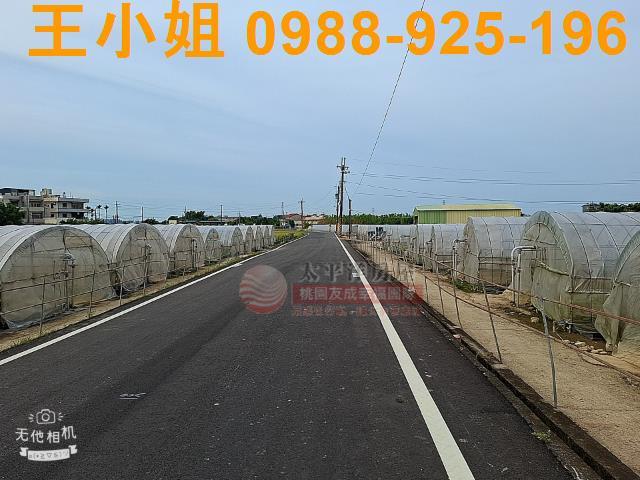 八德農地-6