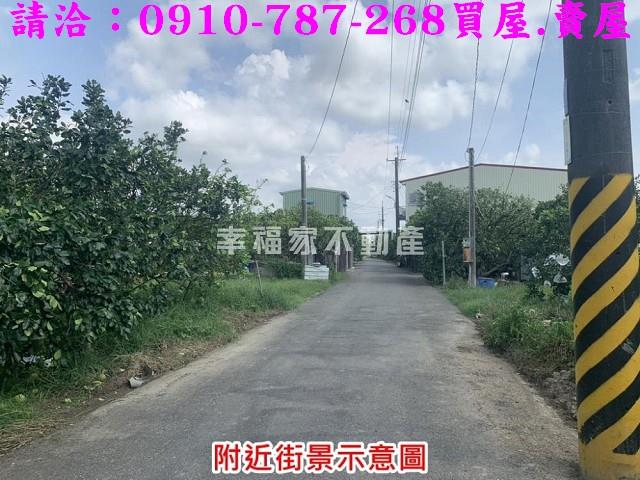 麻豆農地-11