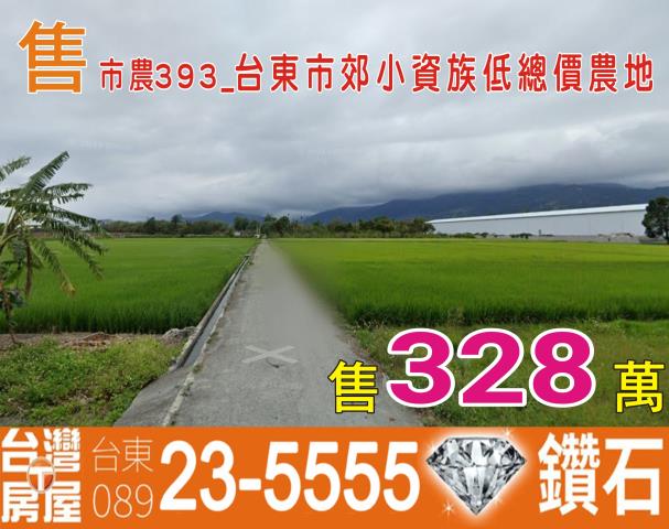 台東農地-1