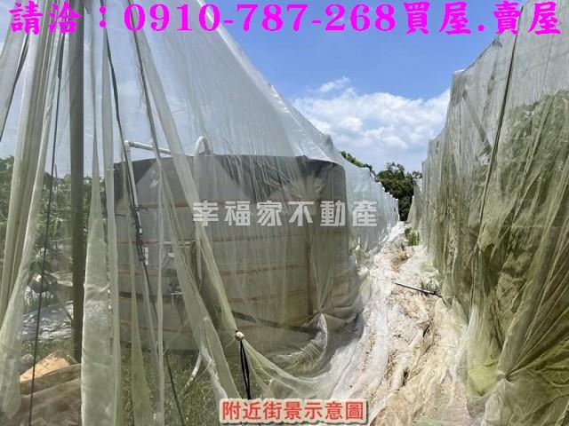 台南楠西農地-11