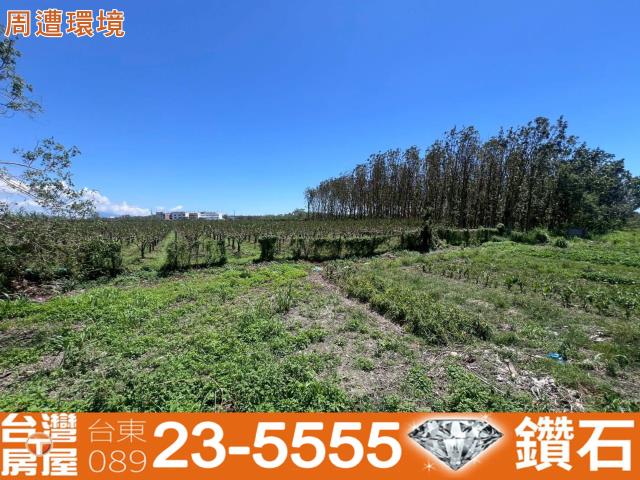 台東市農地-2