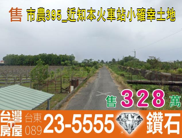 台東市農地-5