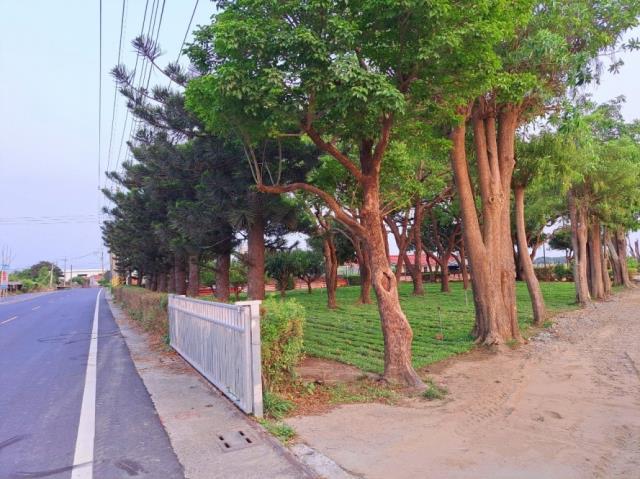 台南農地-7