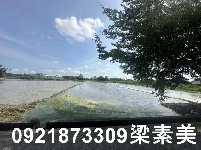 台南新化農地-6