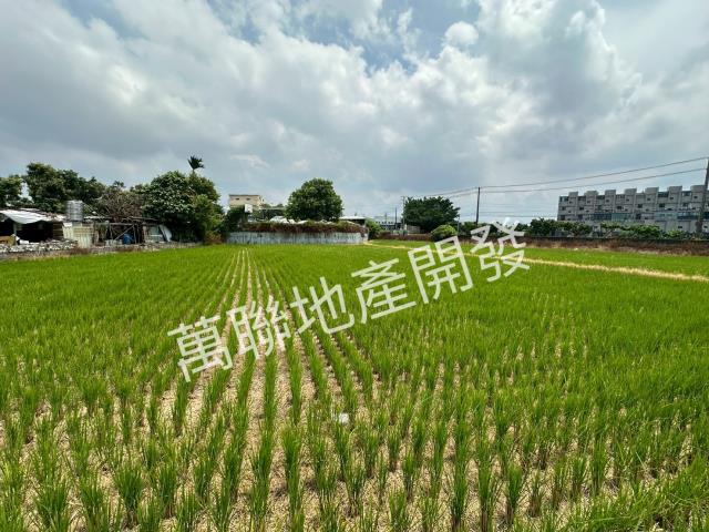 潭子農地-8