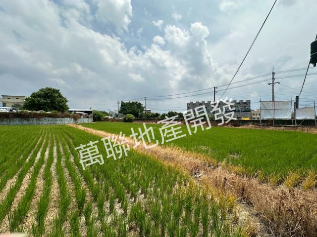 潭子農地-9