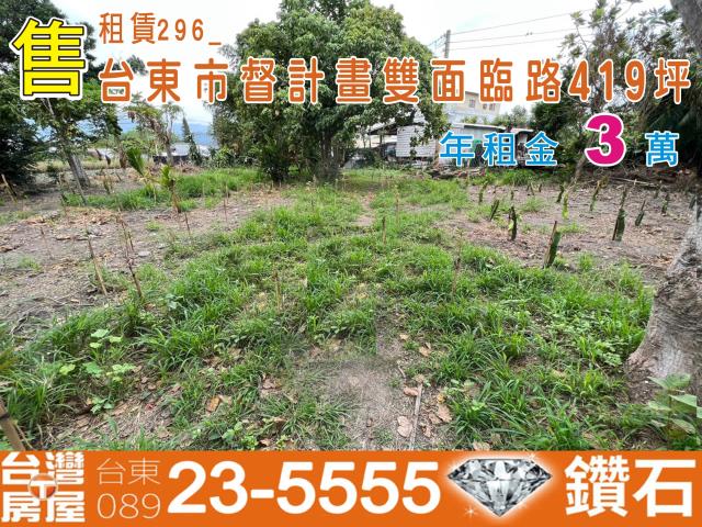 台東台東市農地-1