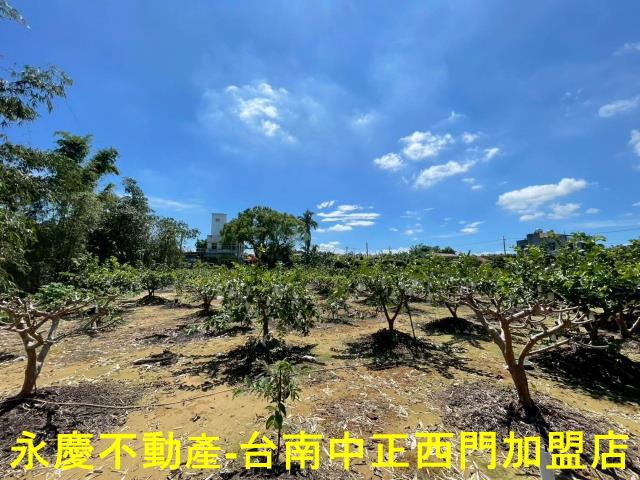 台南山上農地-13