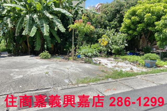 雲林商業地-6