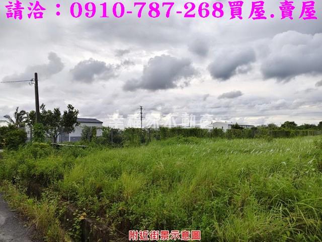 歸仁農地-5