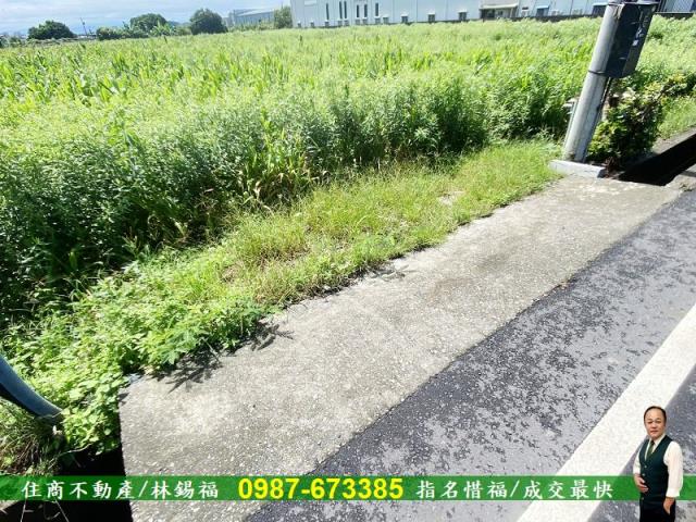 安定農地-12