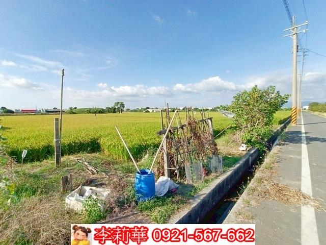 六甲農地-4