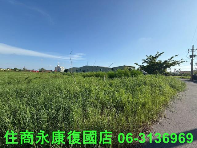 七股農地-1