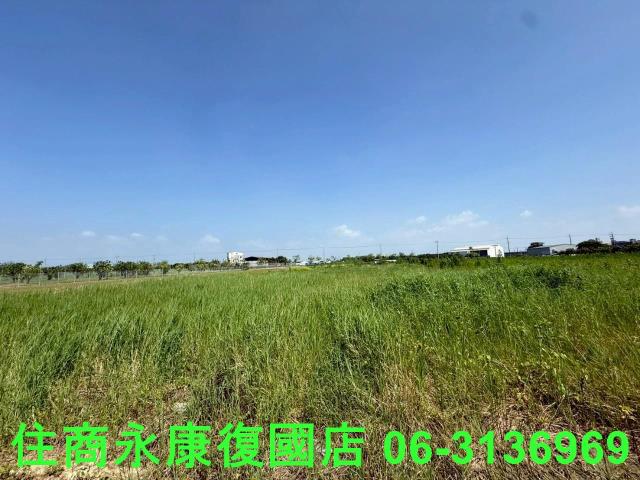 台南農地-6