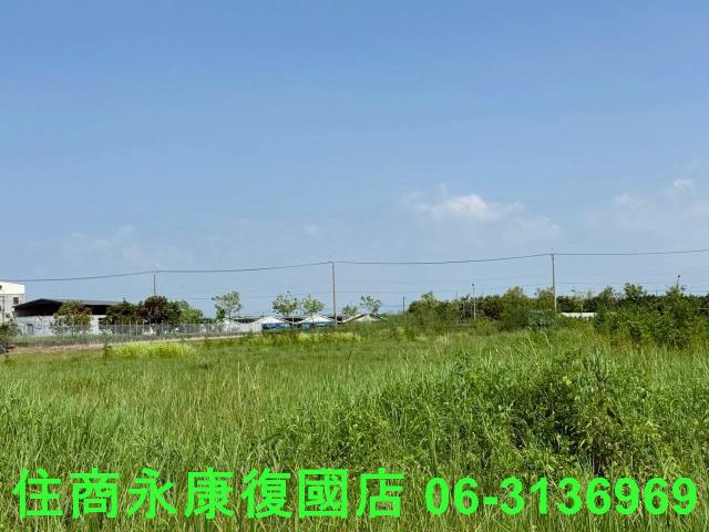台南農地-9