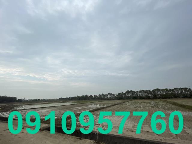 楊梅農地-3