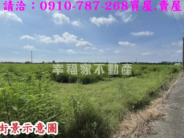 新市農地-15