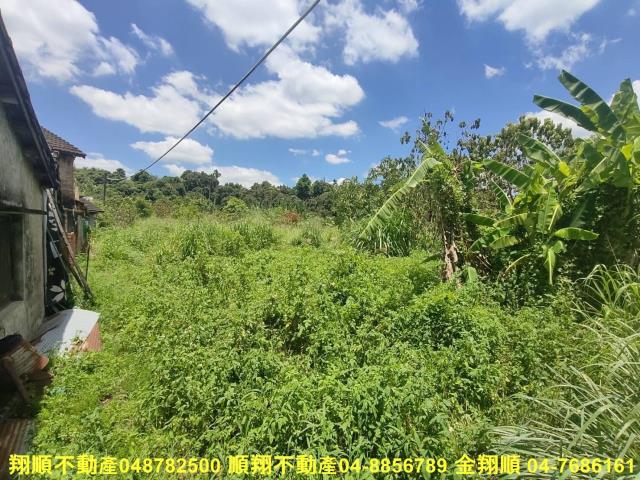 南投中寮農地-13