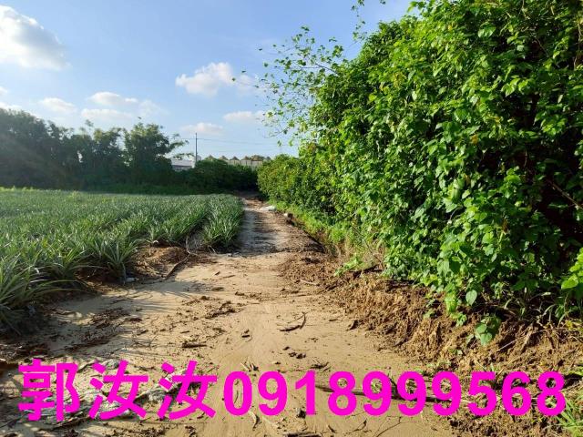 關廟農地-5