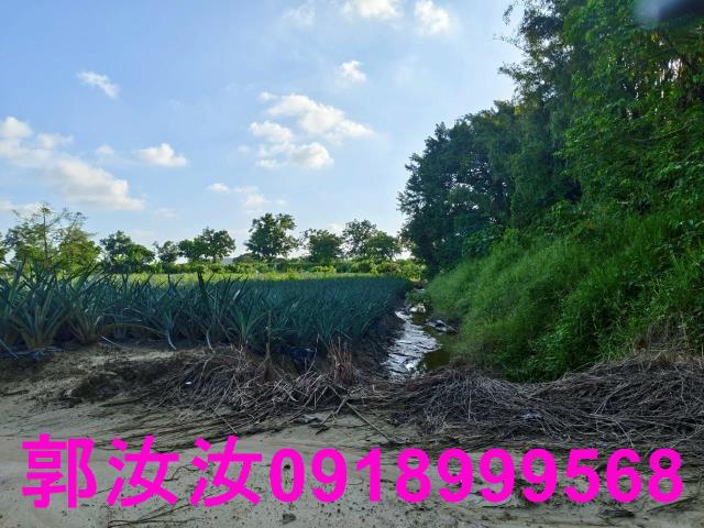 關廟農地-8