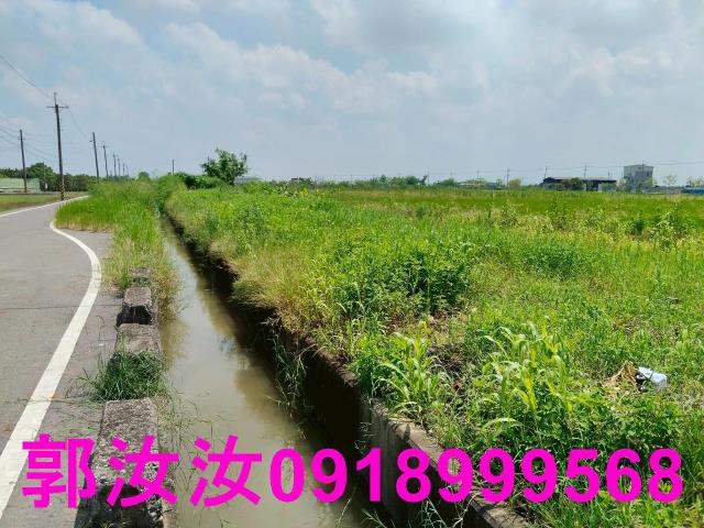 麻豆農地-2