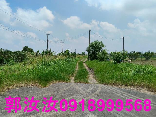 麻豆農地-3