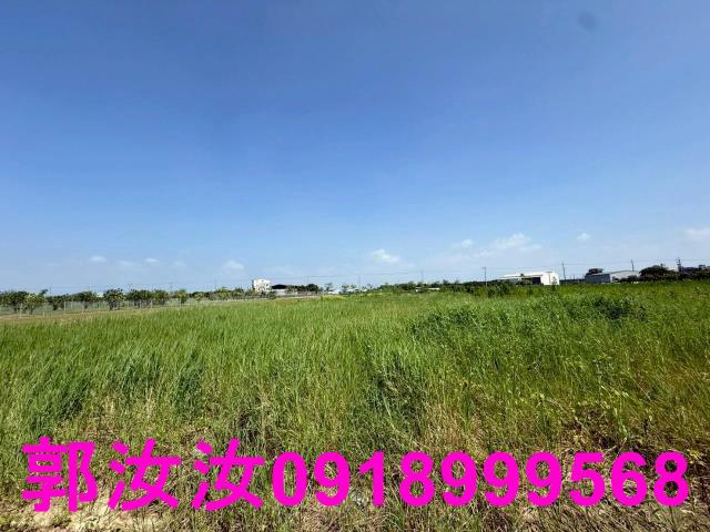 麻豆農地-6